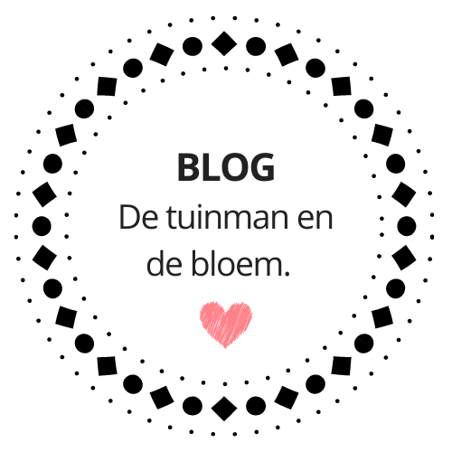 De tuinman en de bloem