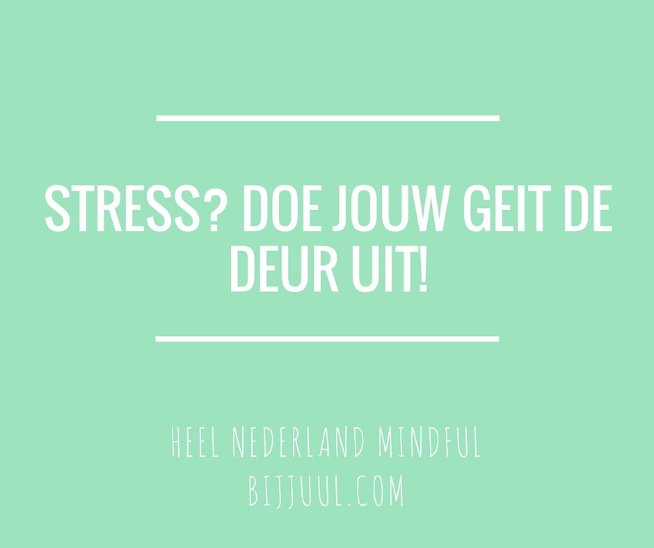 Stress? Doe jouw geit de deur uit!